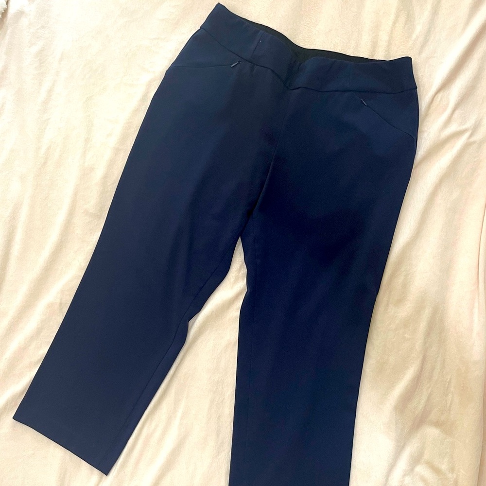 Investments Petite Park Avenue pants